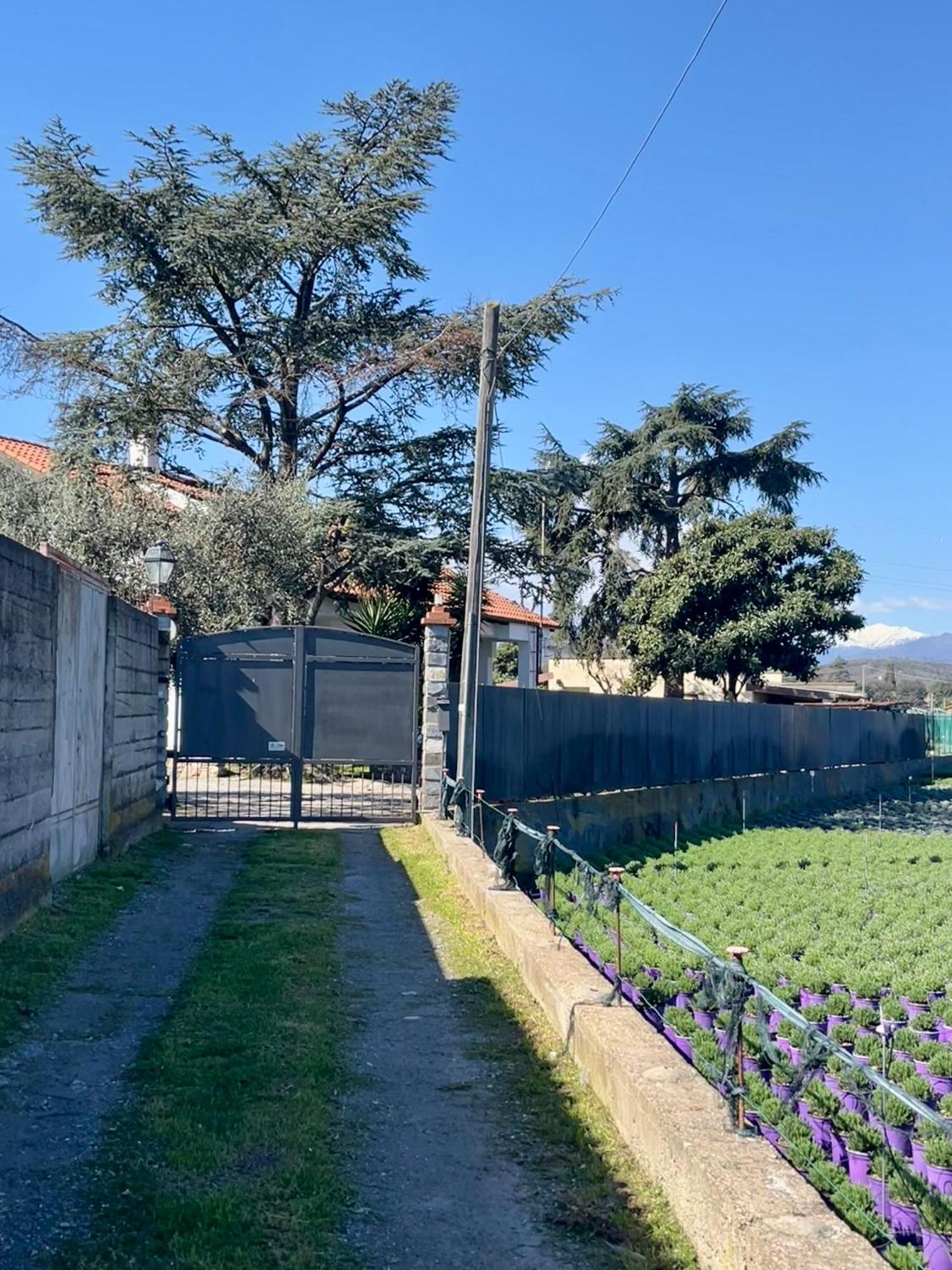 Apartment Giulia *
